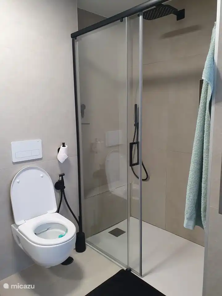 Salle de bain attenante dans la chambre 1