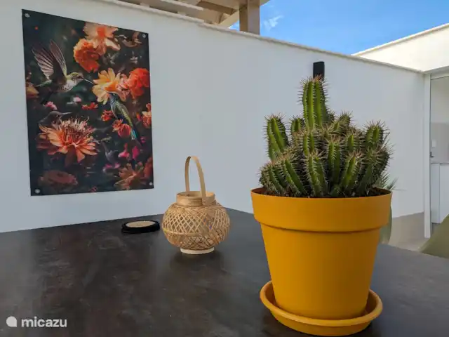 Casa Zinzi en España, Murcia, San Pedro del Pinatar - penthouse Mesa de comedor (detalle) en la azotea
