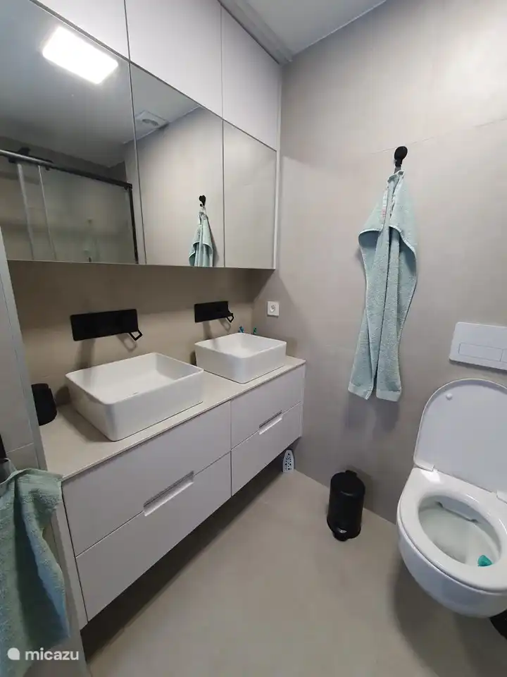 Salle de bain attenante dans la chambre 1