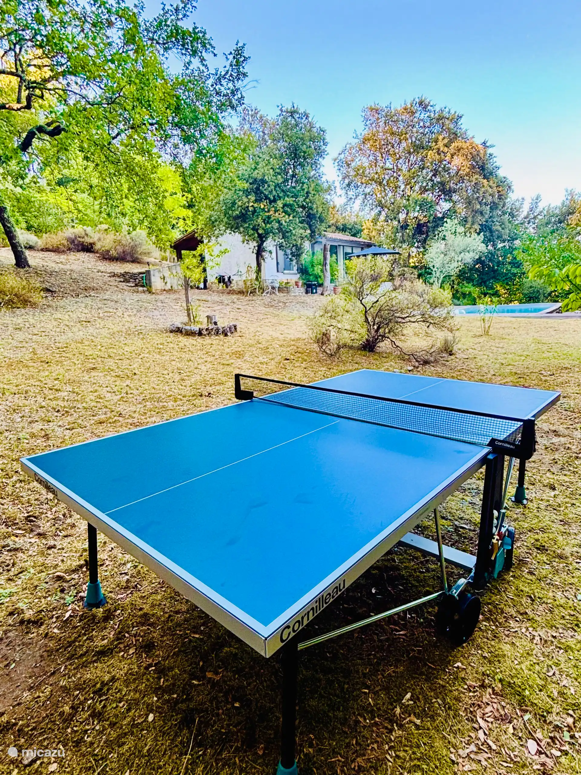 Pingpong tafel (nieuw juli 2026) 