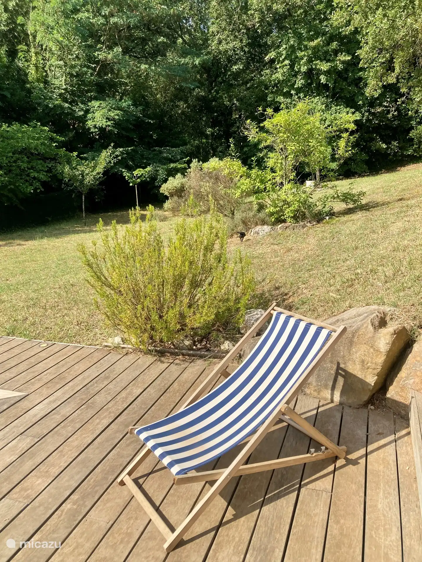 Blick auf den Garten