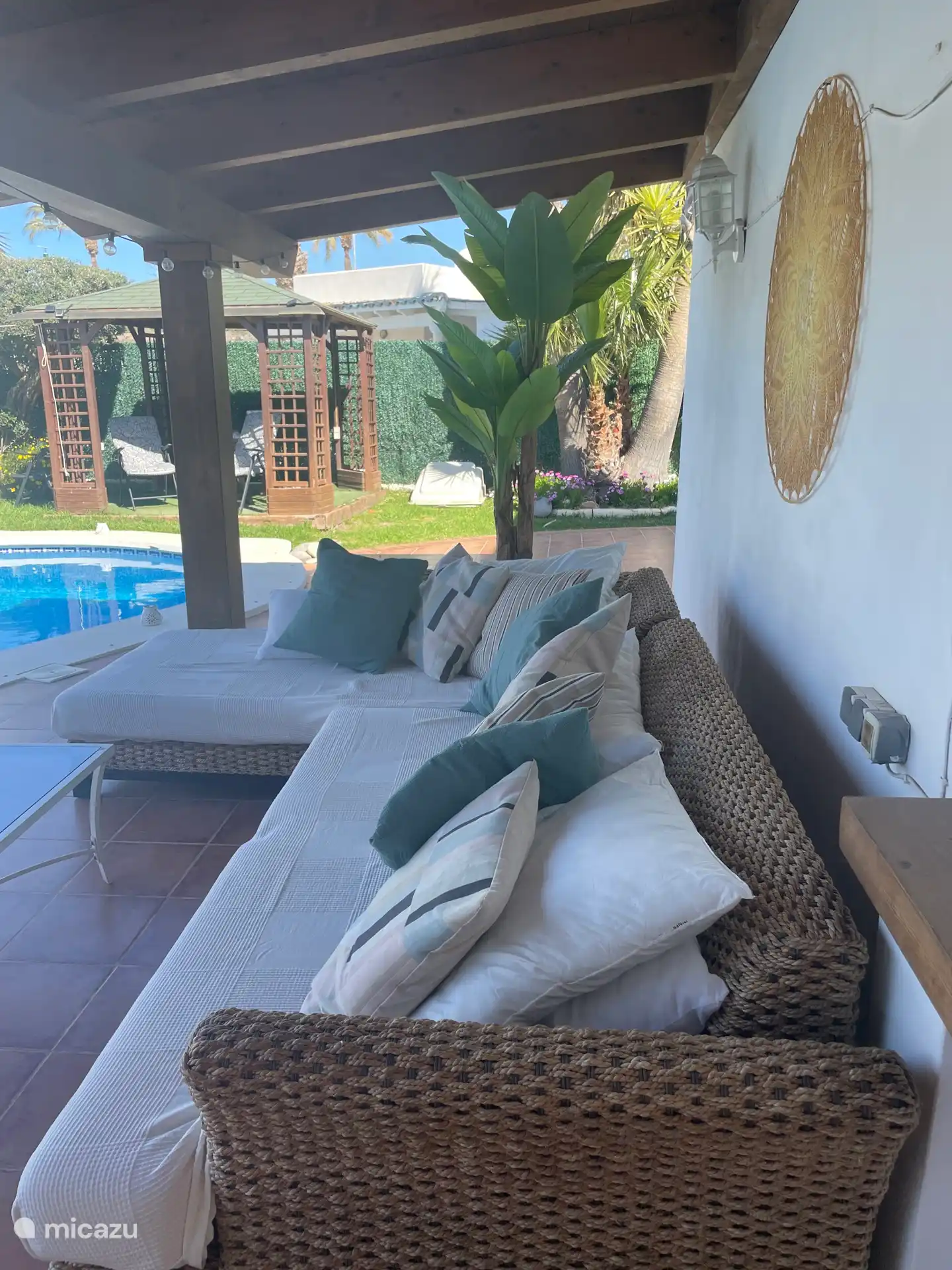 Blick auf das Blätterdach im Garten