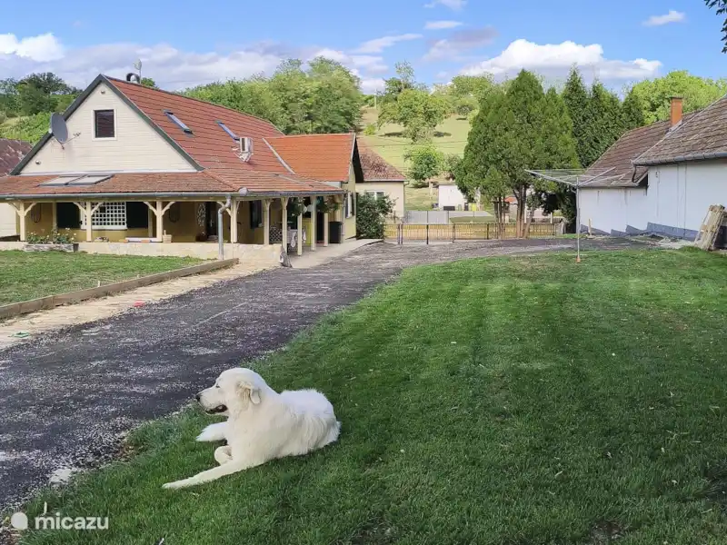Eva Villaja | Hongrie, Lac Balaton, Szölösgyörök - Villa Eva Villaja | Hongrie, Lac Balaton, Szölösgyörök - Villa