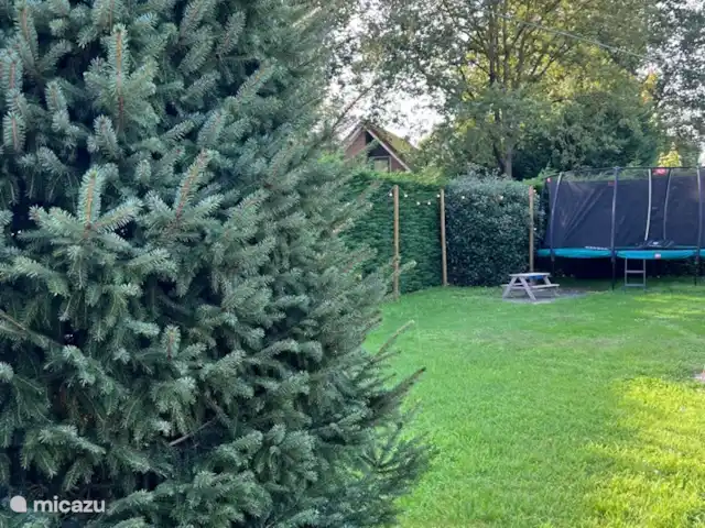 Villa Junio Rosy en Países Bajos, Güeldres, Wijchen - casa vacacional Jardín