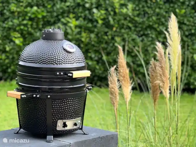 Villa Junio Rosy en Países Bajos, Güeldres, Wijchen - casa vacacional barbacoa