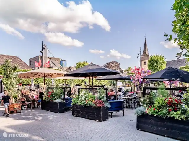 Villa Junio Rosy en Países Bajos, Güeldres, Wijchen - casa vacacional Centro Wijchen