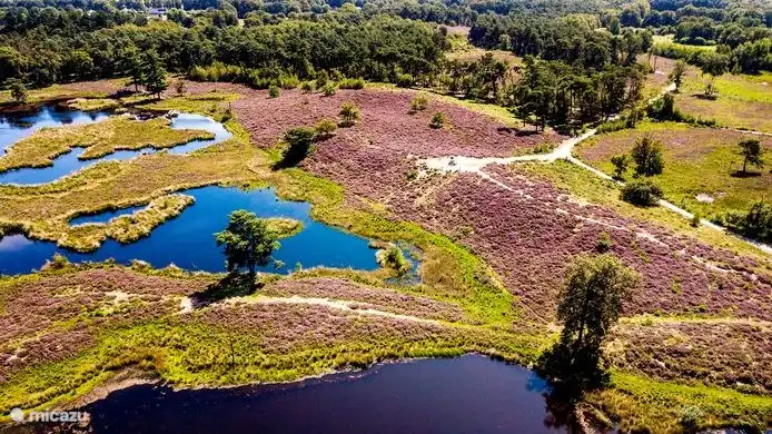 Hatertse und Overasseltse Vennen