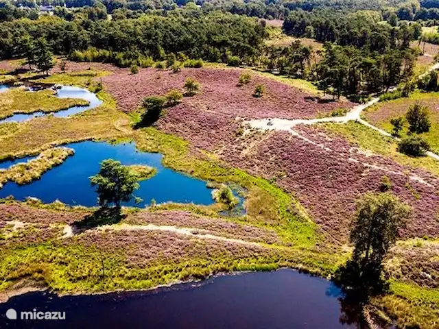Villa Junio Rosy en Países Bajos, Güeldres, Wijchen - casa vacacional Hatertse y Overasseltse Vennen