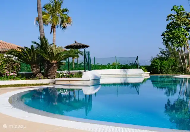 Pequeño jardín con piscina