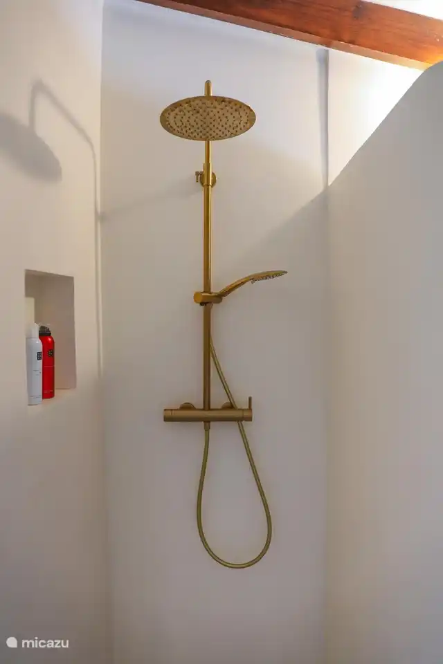 Bathroom with shower