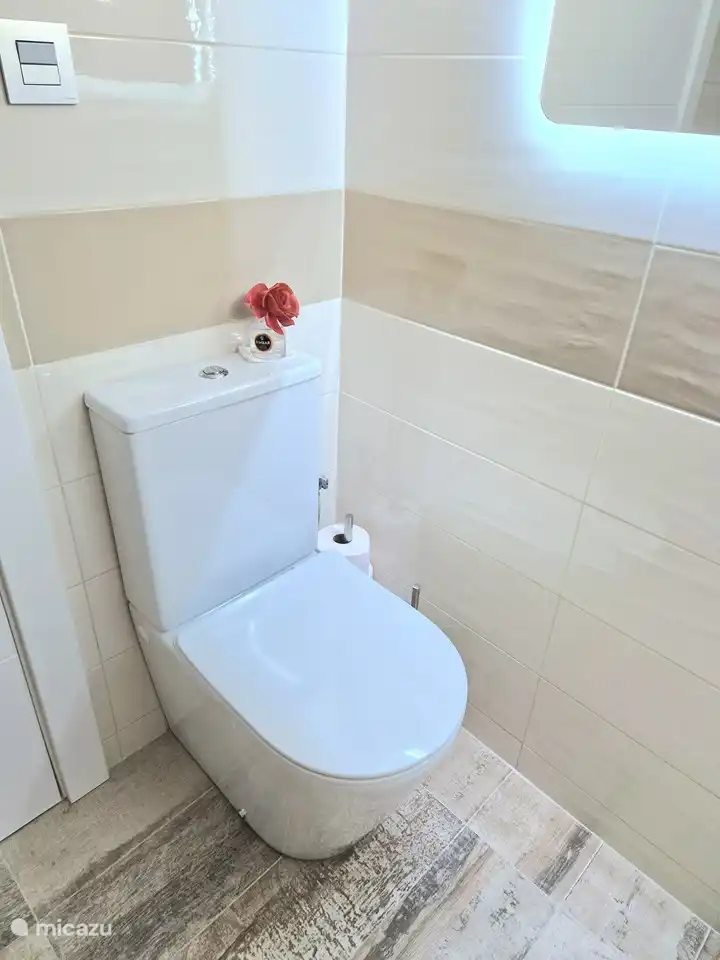 toilettes à double chasse