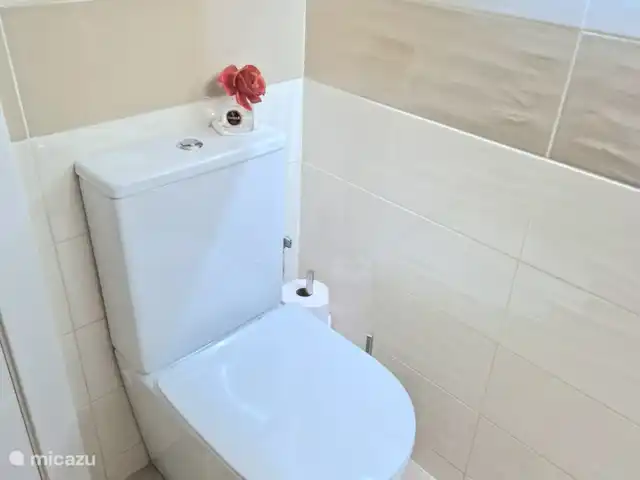 La Casa Barbara huren in Spanje, Costa Blanca, Orihuela Costa - appartement dual flush wc