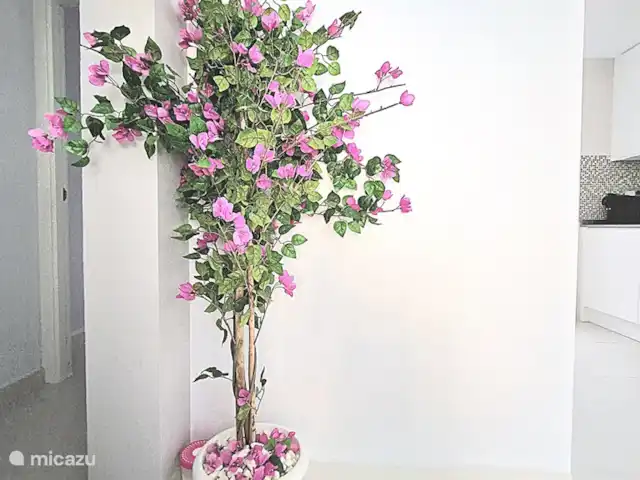 La Casa Barbara huren in Spanje, Costa Blanca, Orihuela Costa - appartement .