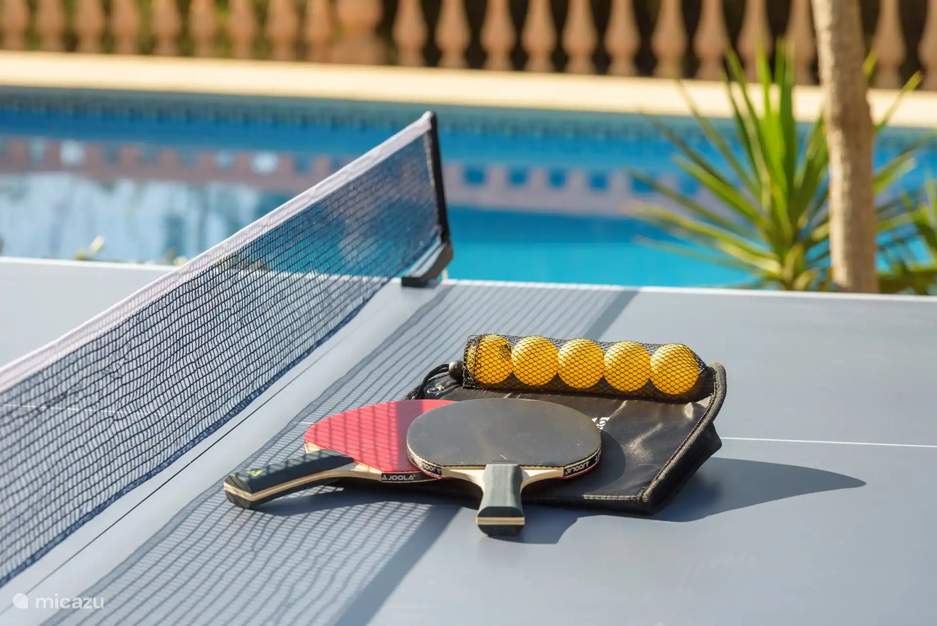 Tischtennisplatte im Garten