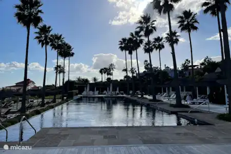 Envie de vous allonger au soleil dans le luxe ?