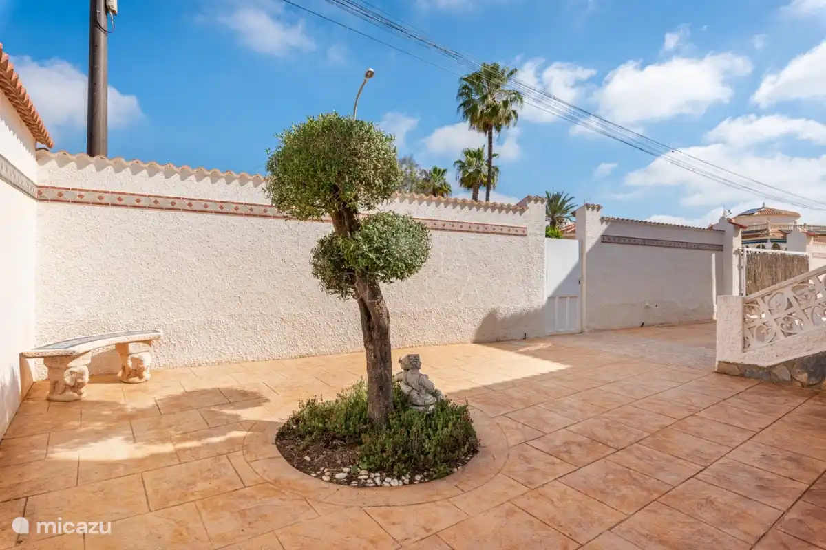 Rund um das Haus und unseren Olivenbaum.