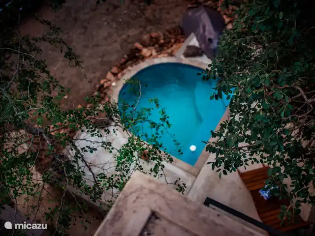 Jackals Dream | Afrique du Sud, Mpumalanga, Marloth Park - maison de vacances Piscine