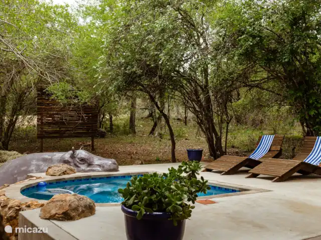 Jackals Dream | Afrique du Sud, Mpumalanga, Marloth Park - maison de vacances
