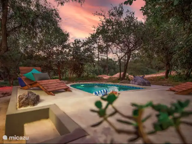 Jackals Dream | Afrique du Sud, Mpumalanga, Marloth Park - maison de vacances Piscine à pataugeoire avec Bella, notre hippopotame domestique