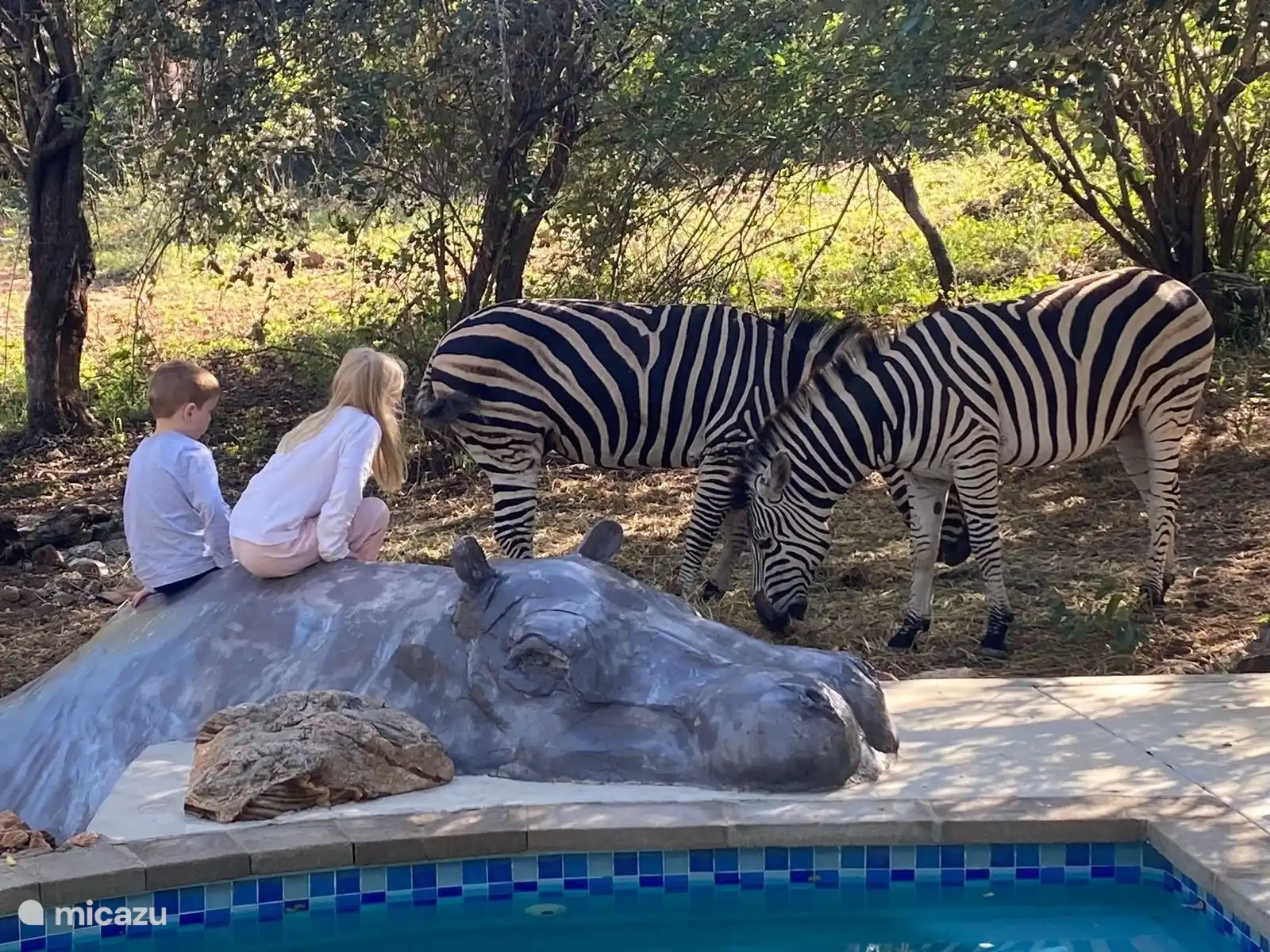 Kinder bei 'Bella' Unser Hauspferd zu Besuch: die Zebras