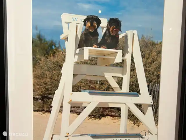 stacaravan huren in Frankrijk, Côte d´Azur, Ramatuelle – Beach House Kon Tiki St. Tropez Club 55