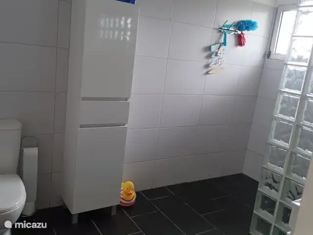 Casa Pestana Ferreira huren in Portugal, Madeira, Estreito da Calheta - vakantiehuis Badkamer beneden