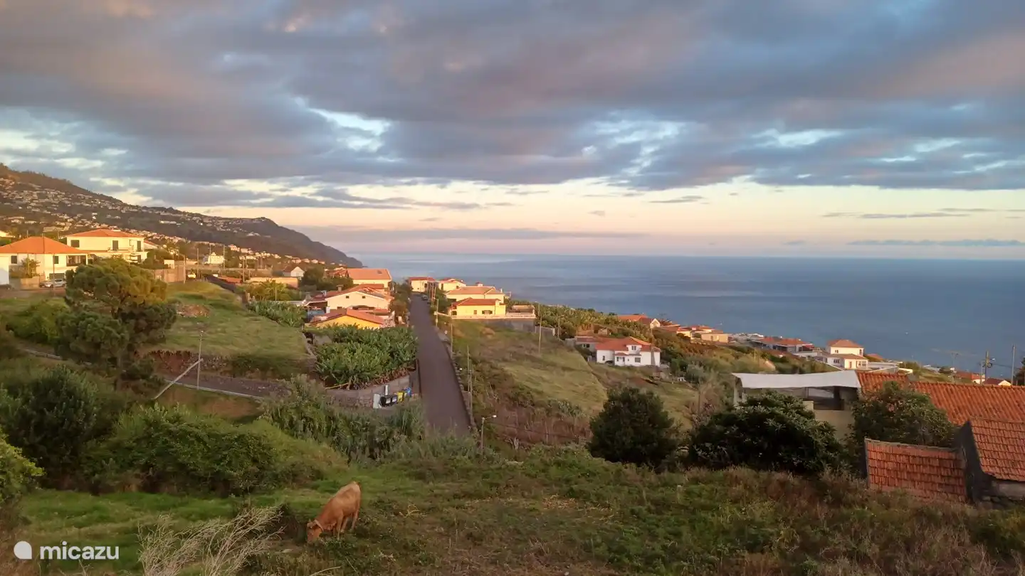 Blick von der Terrasse