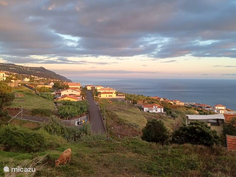 Ferienwohnung Portugal, Madeira, Estreito da Calheta Ferienhaus Casa Pestana Ferreira