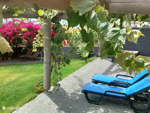 Casa Pestana Ferreira huren in Portugal, Madeira, Estreito da Calheta - vakantiehuis Tuin