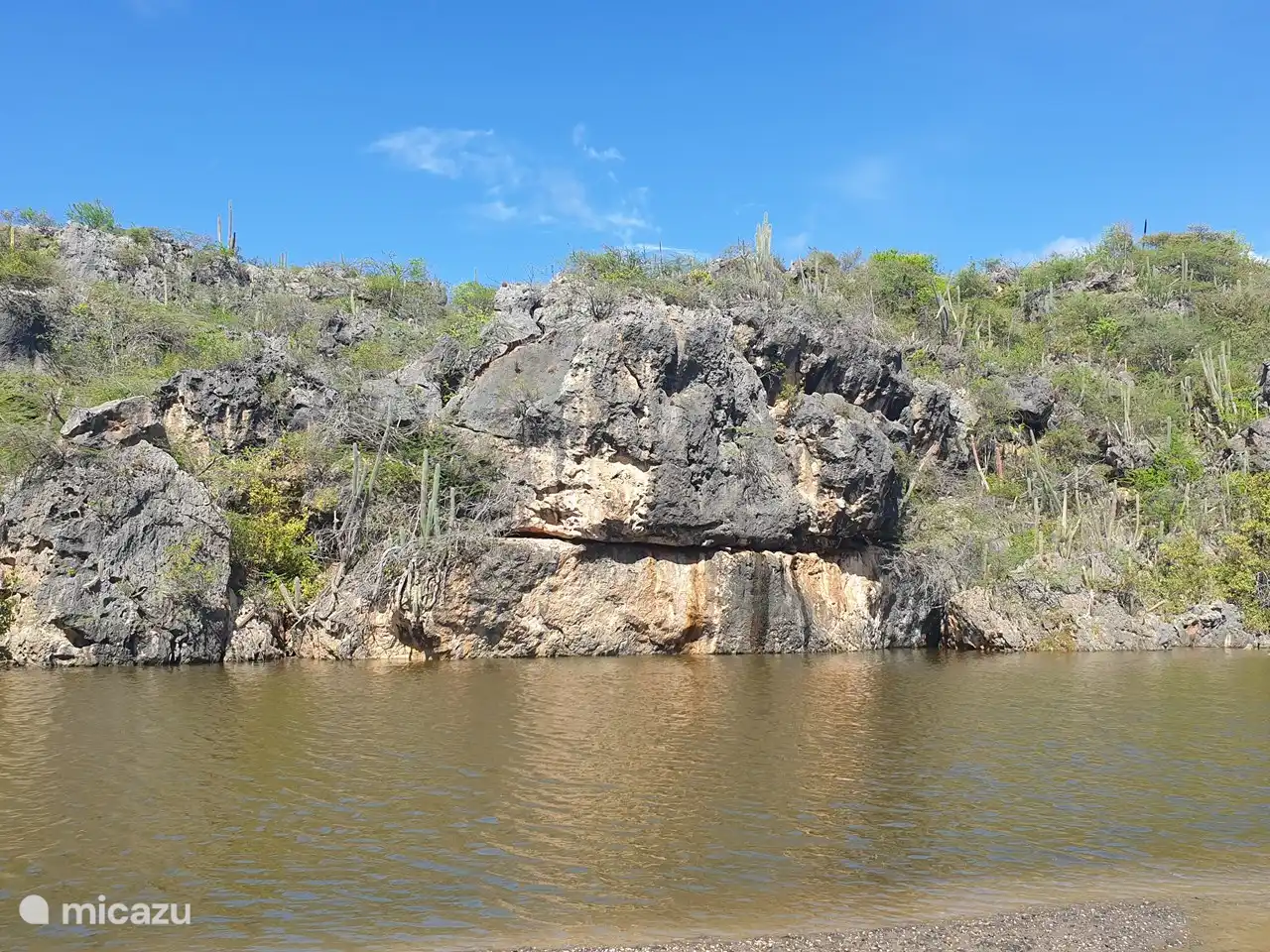 Photo monde (forêt)