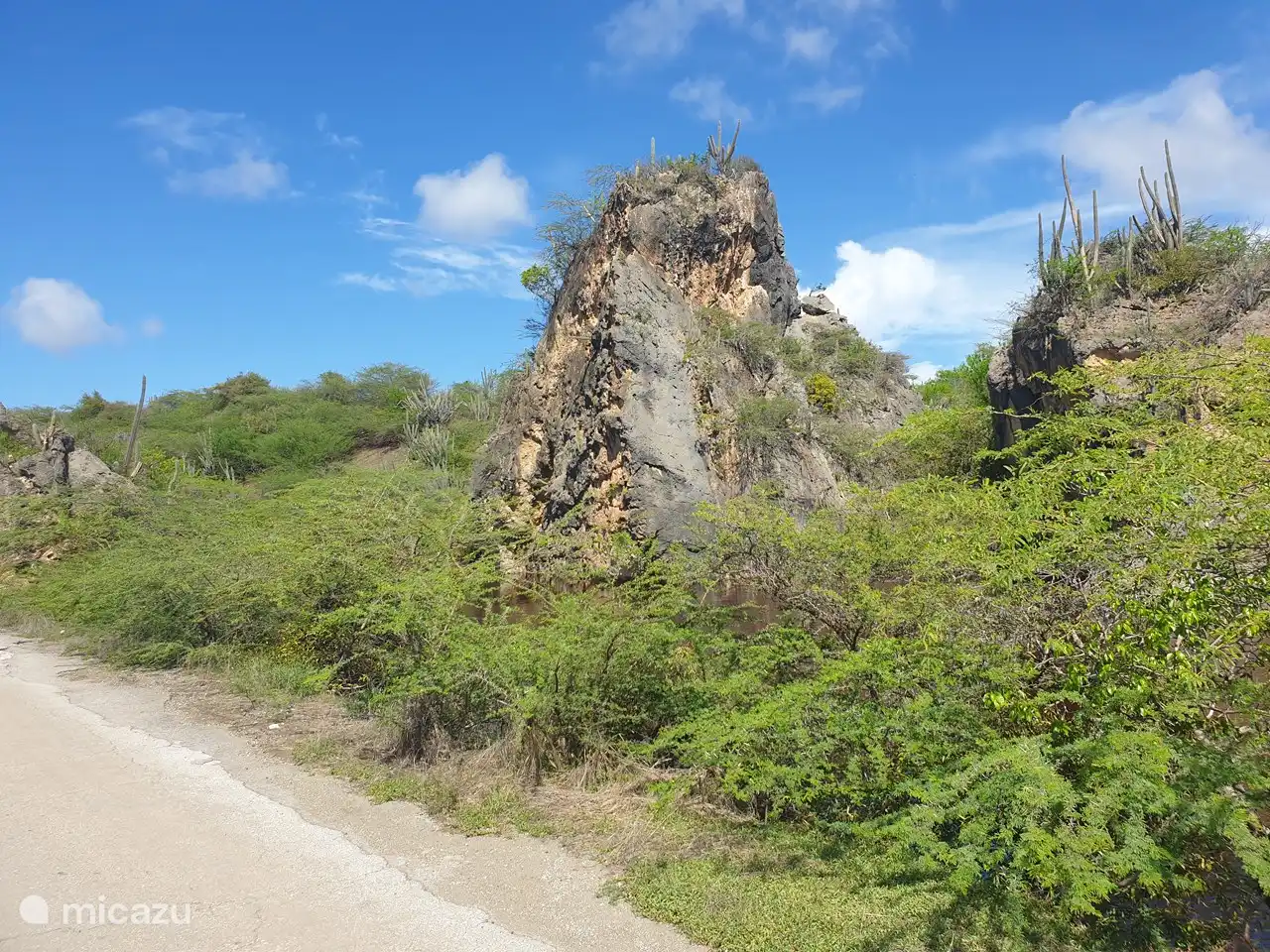 Photo monde (forêt) 2