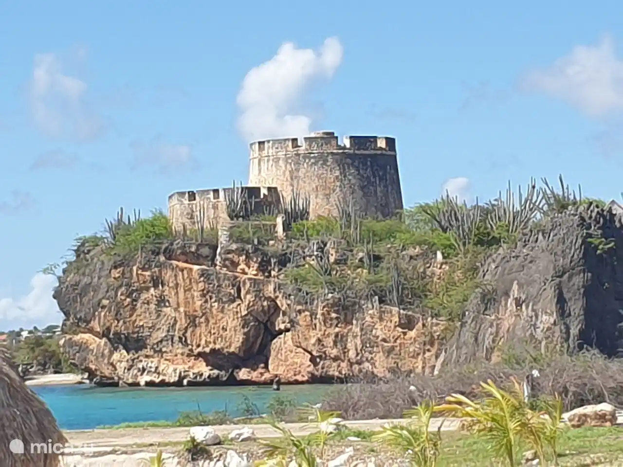 Photo monde (forêt) 3