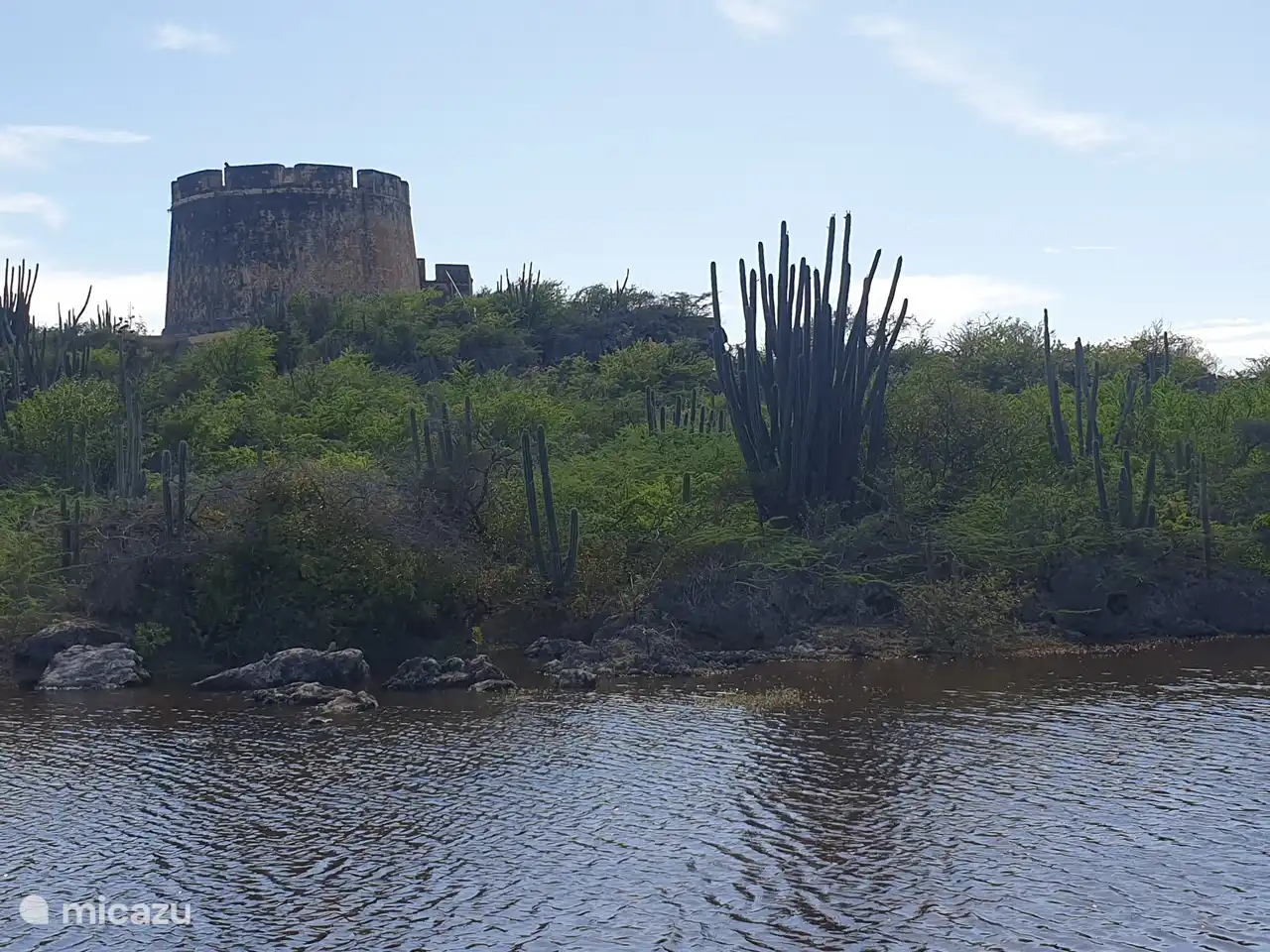 Photo monde (forêt) 3