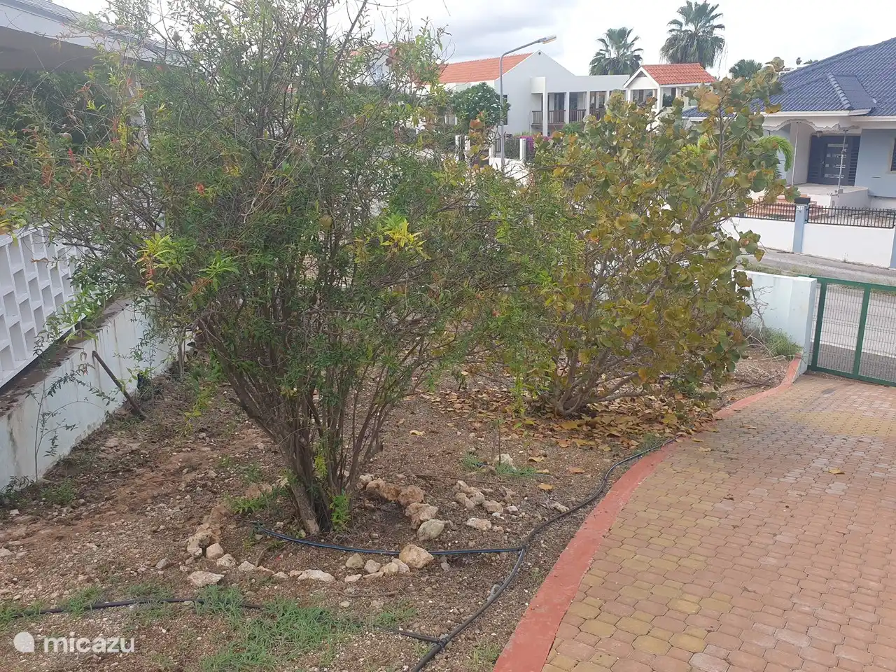 MC-Wohnprojekt in Curaçao, Banda Ariba (Ost), Jan Thiel - Studio