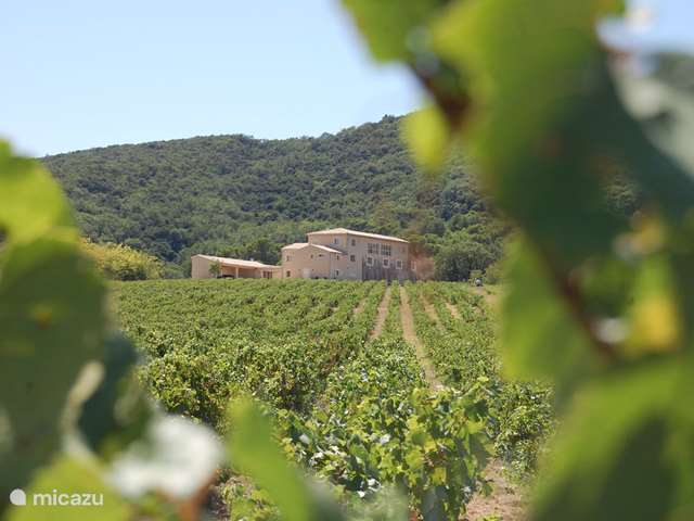 Holiday home in France, Languedoc-Roussillon – villa Le Mas de Toulair