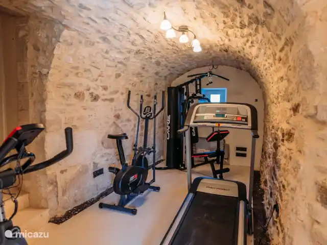 Mas de Toulair - Luxe in de Provence huren in Frankrijk, Gard, Salazac - villa Fitnessruimte