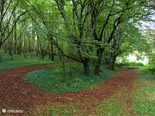 La señorita en Francia, Lot, Lavercantière - casa rural / cabaña Camino forestal cerca de la casa rural