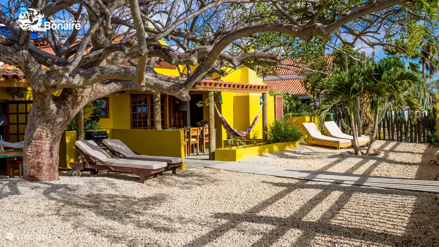 Sportangeln, Bonaire, Bonaire, Kralendijk, appartement Kas Hamaka Prikichi