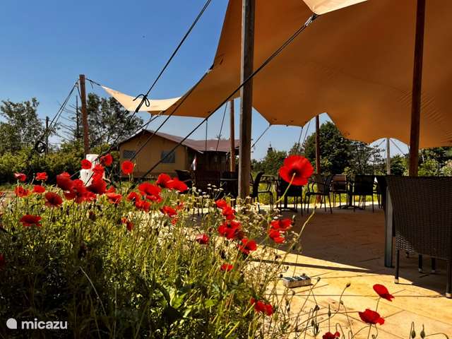 Casa vacacional Italia, Lombardía, Mornico Losana – camping con glamour/yurta/tienda safari Tienda glamping Per Amore Del Vino