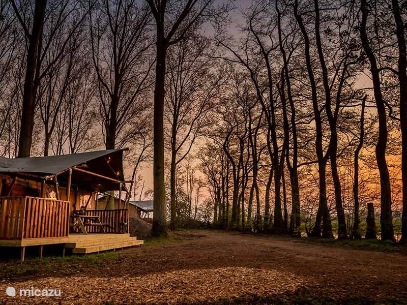 Holiday home in Italy, Lombardy, Mornico Losana Glamping / Safari tent / Yurt Glamping tent Per Amore Del Vino