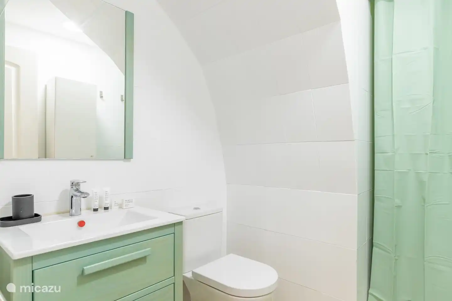 Badkamer met douche, toilet en lavabo.