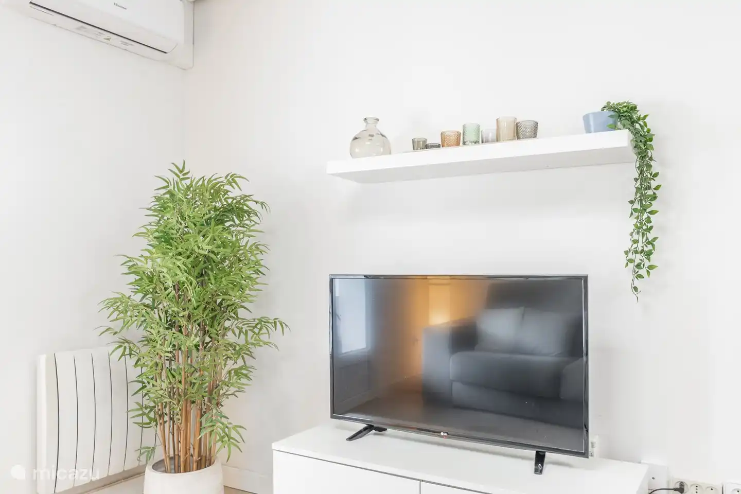 TV met Nederlandstalige TV zenders