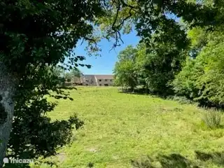 Foto des Grundstücks rund um das Haus