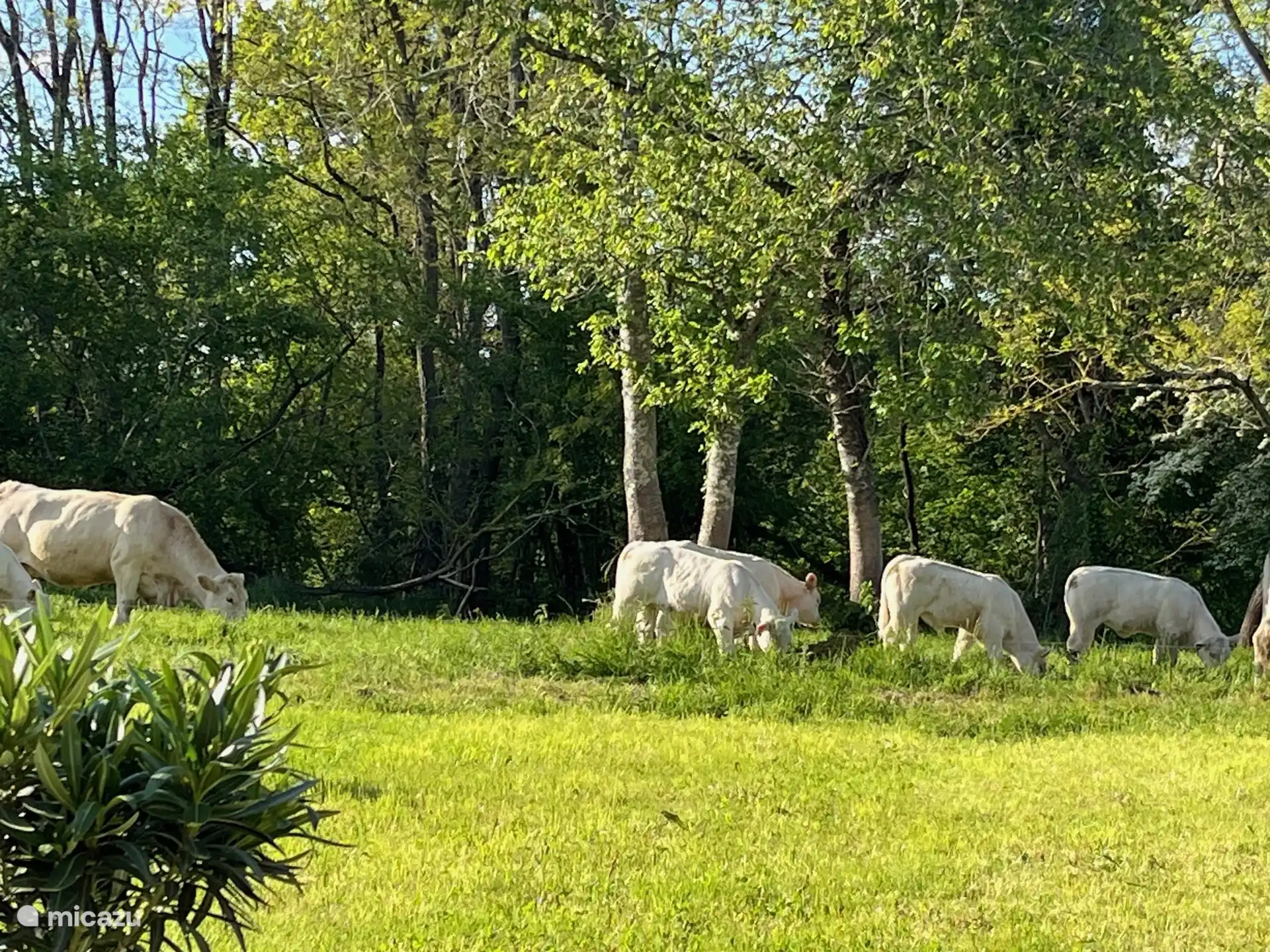 Blick von der Terrasse