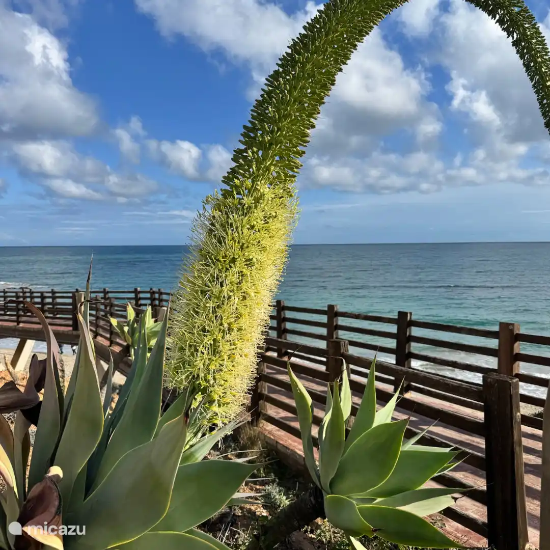 Beaches - hiking trails