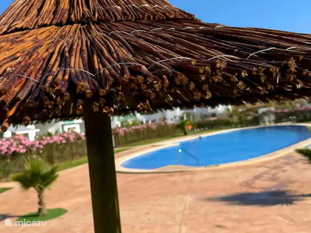 Casa Paloma Blanca Soleil et Golf | Espagne, Costa Blanca, Torrevieja - appartement Parasols au bord de la piscine
