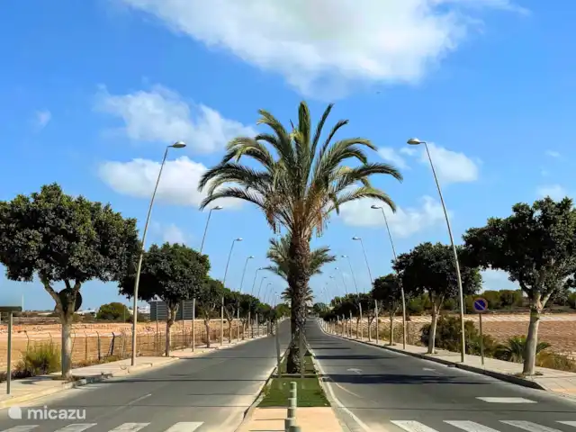 Casa Paloma Blanca Soleil et Golf | Espagne, Costa Blanca, Torrevieja - appartement Situé sur un terrain de golf