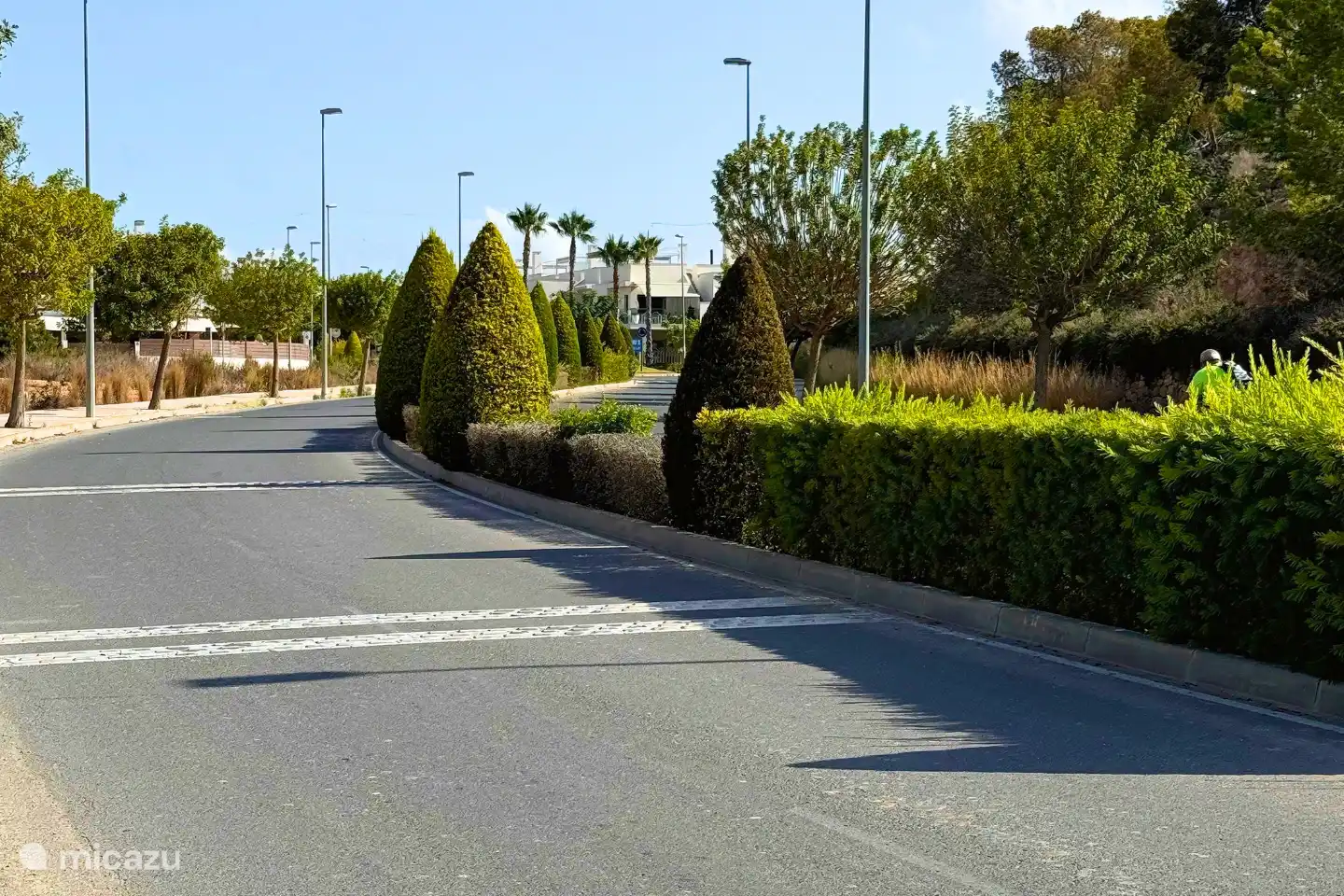 Beautifully maintained and green domain 