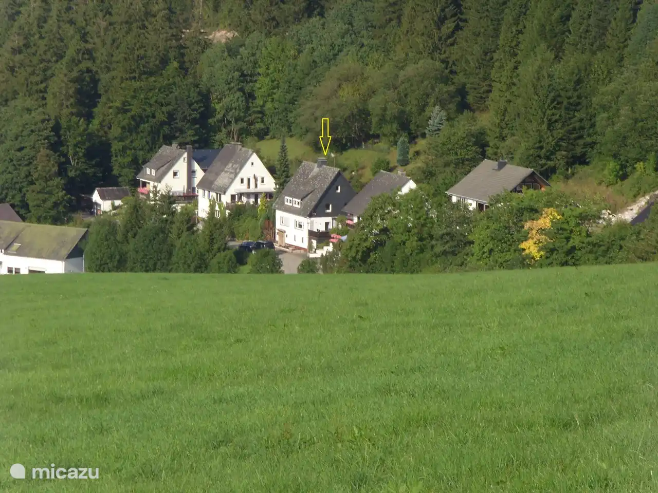 House located on the edge of the forest