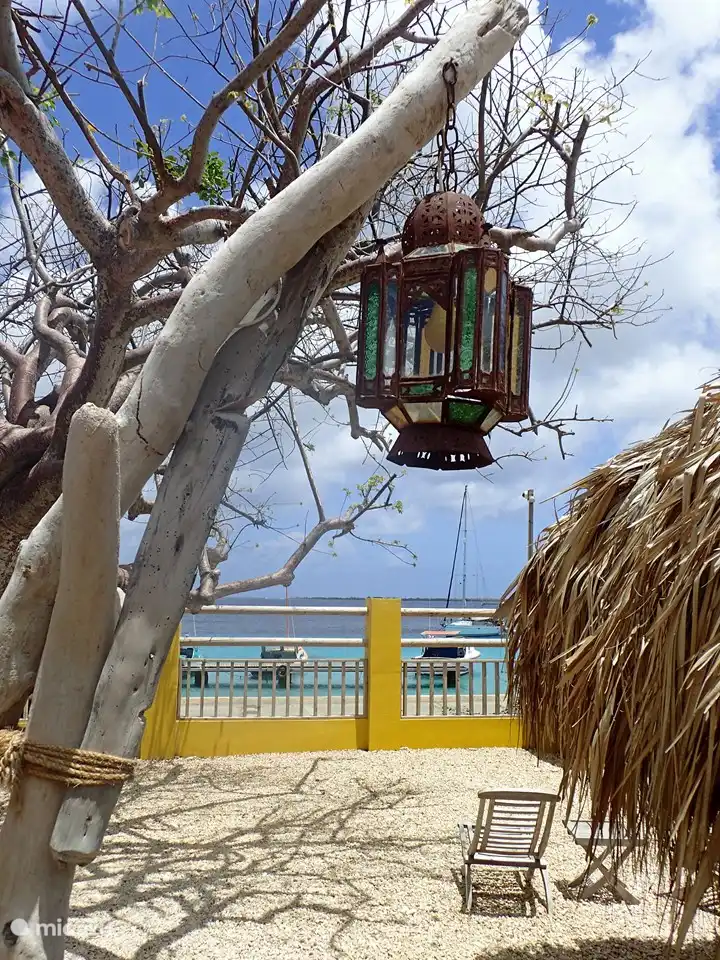 uitzicht tuin kas hamaka